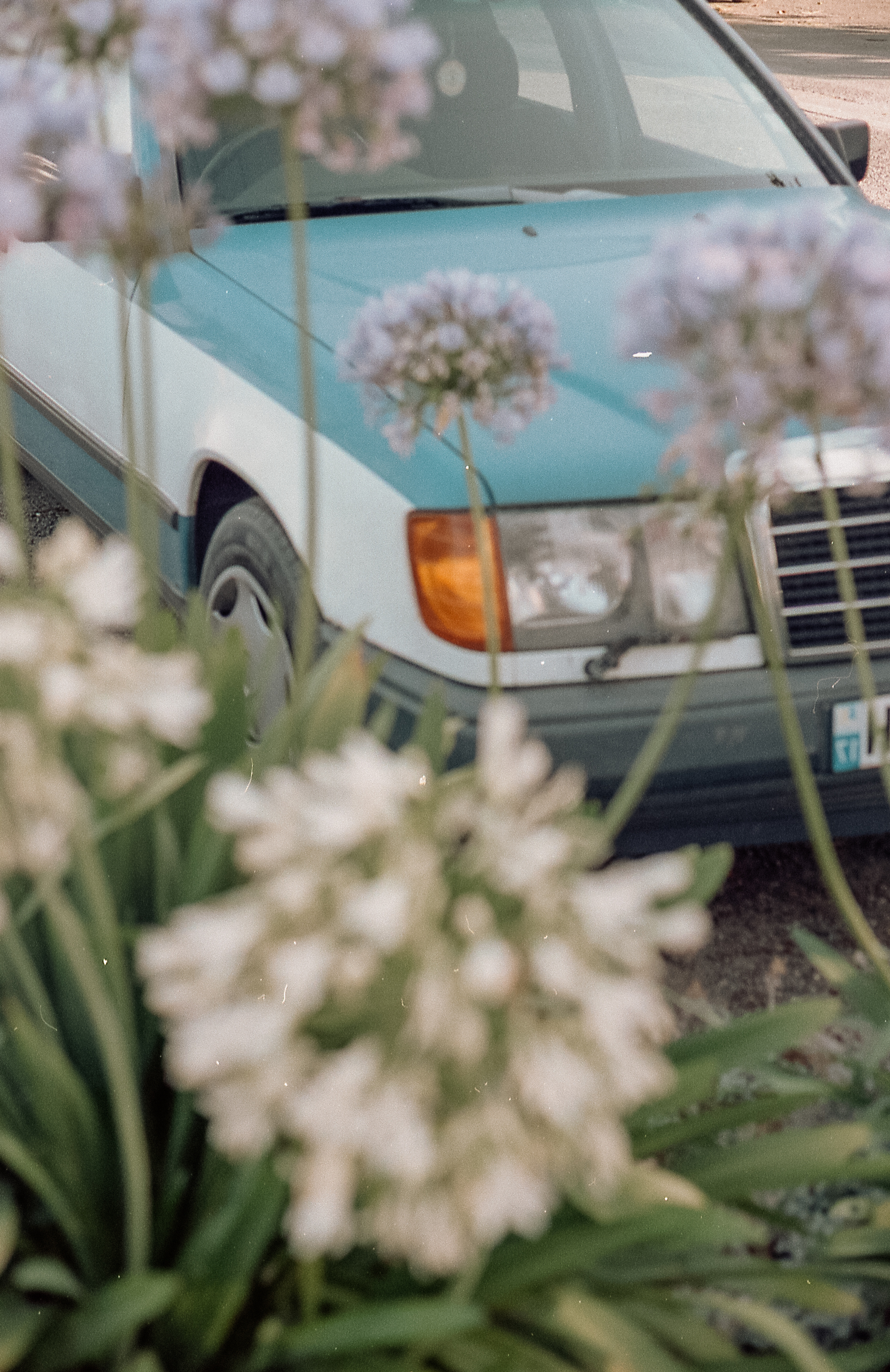 SEBASTIAN_ARGENTIQUE3-5